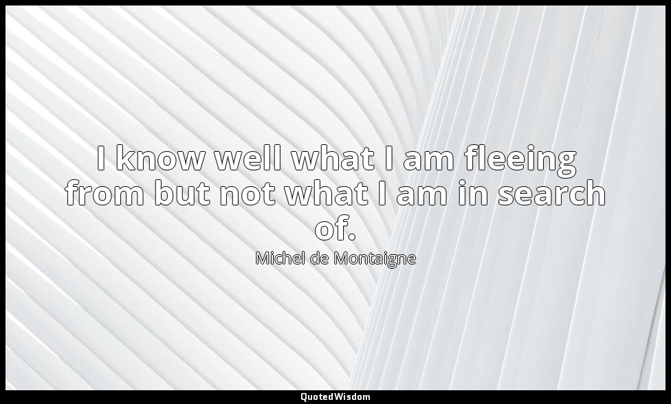 I know well what I am fleeing from but not what I am in search of. — Michel de Montaigne