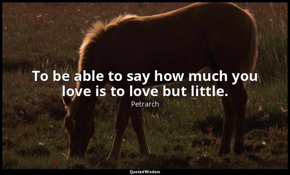 To be able to say how much you love is to love but little. — Petrarch