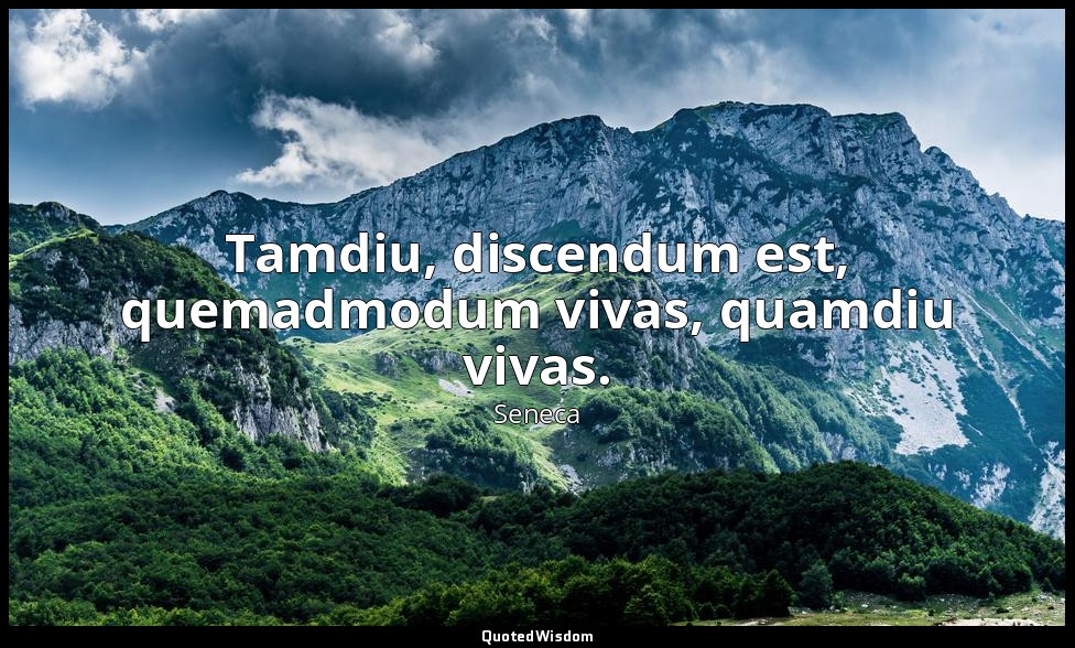 Tamdiu, discendum est, quemadmodum vivas, quamdiu vivas. — Seneca