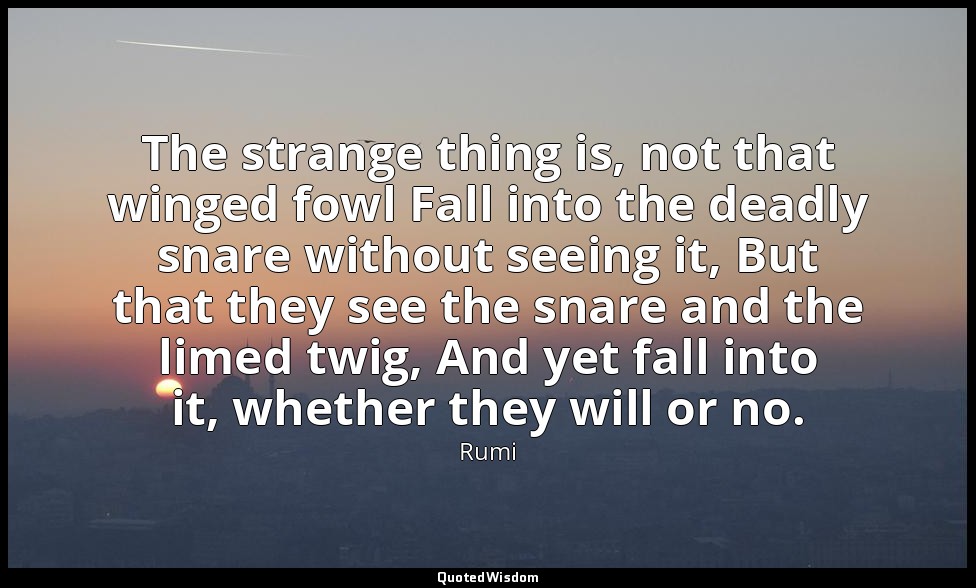 The strange thing is, not that winged fowl Fall into the deadly snare without se — Rumi