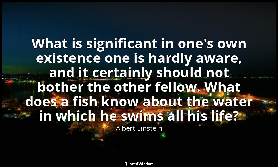 What is significant in one's own existence one is hardly aware, and it certainly — Albert Einstein