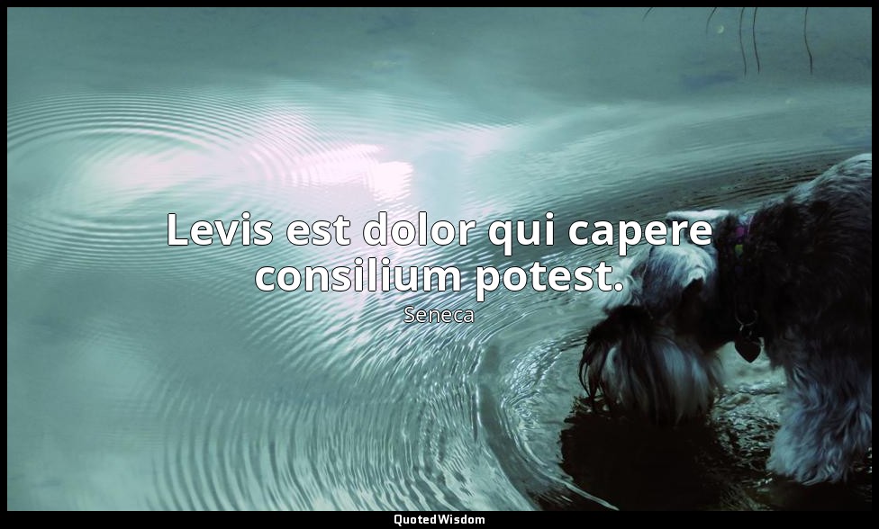 Levis est dolor qui capere consilium potest. — Seneca