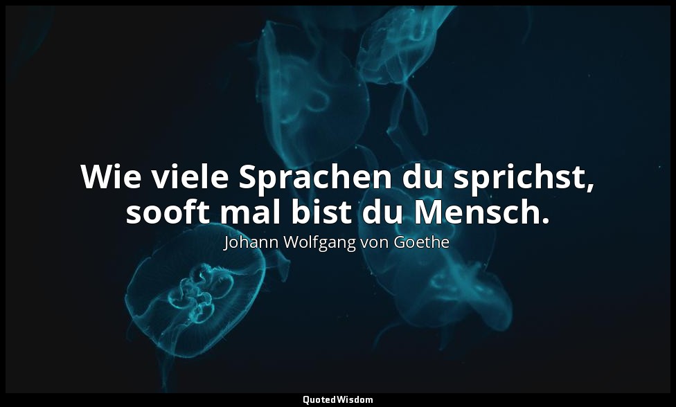 Wie viele Sprachen du sprichst, sooft mal bist du Mensch. — Johann Wolfgang von Goethe