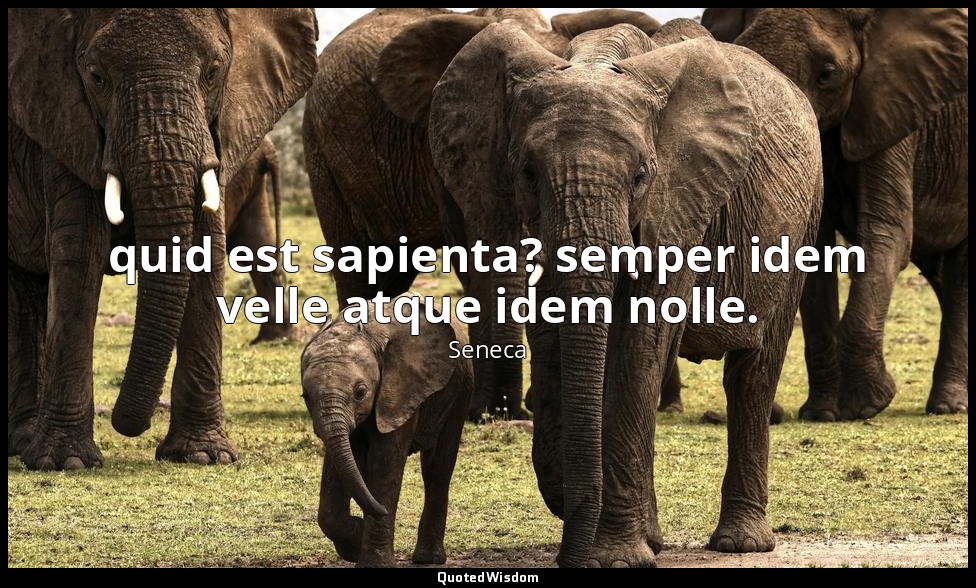 quid est sapienta? semper idem velle atque idem nolle. — Seneca
