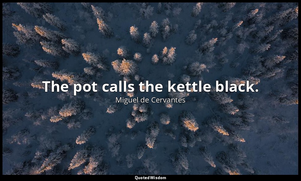 The pot calls the kettle black. — Miguel de Cervantes