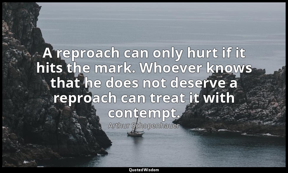 A reproach can only hurt if it hits the mark. Whoever knows that he does not des — Arthur Schopenhauer