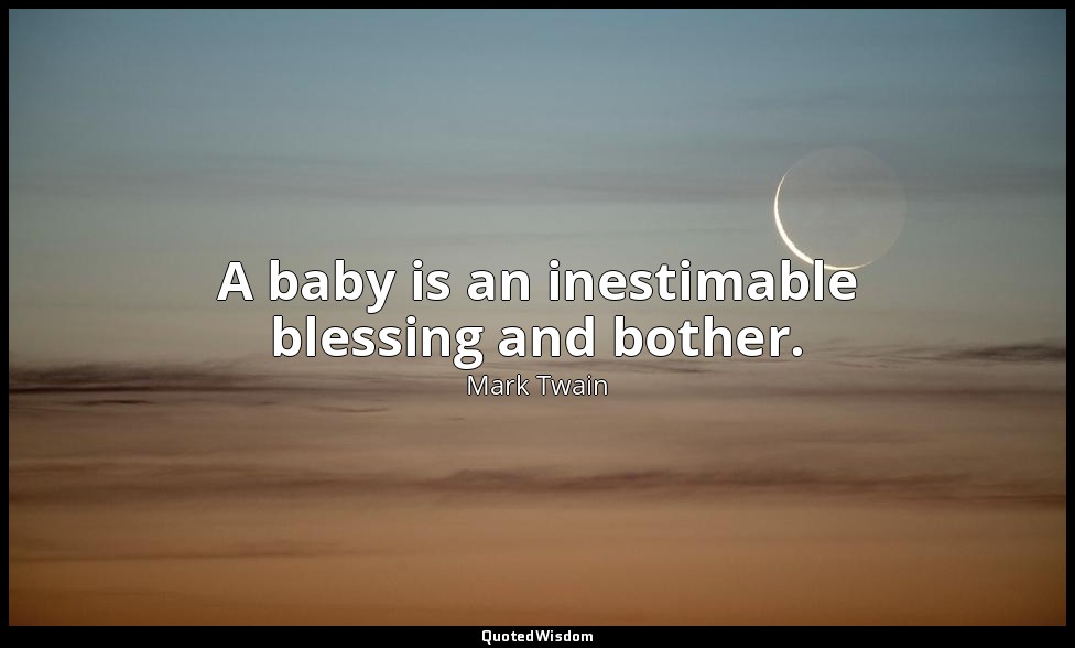 A baby is an inestimable blessing and bother. — Mark Twain