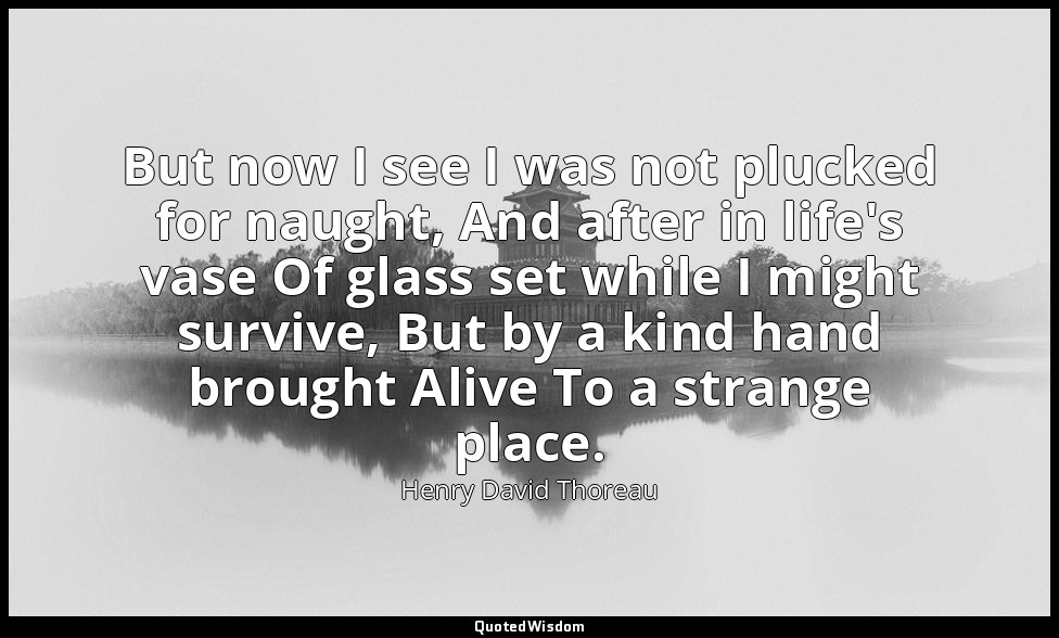But now I see I was not plucked for naught, And after in life's vase Of glass se — Henry David Thoreau