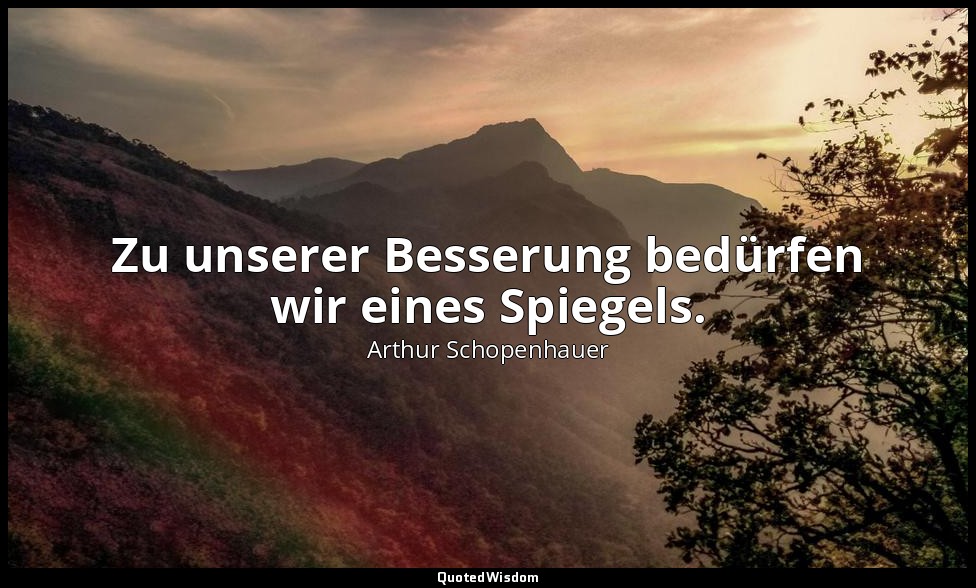 Zu unserer Besserung bedürfen wir eines Spiegels. — Arthur Schopenhauer
