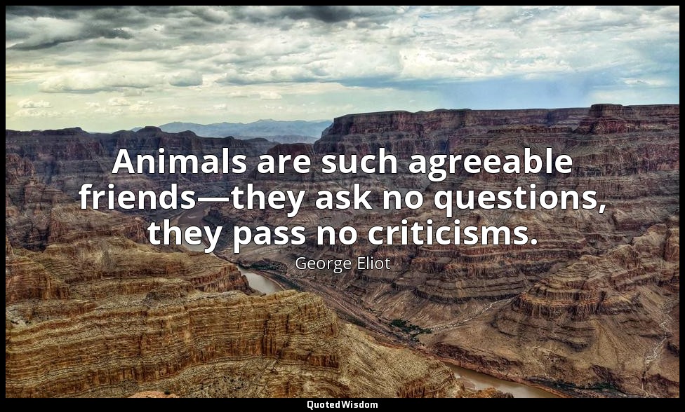 Animals are such agreeable friends—they ask no questions, they pass no criticism — George Eliot