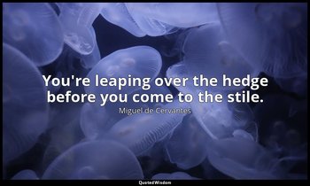 You're leaping over the hedge before you come to the stile. — Miguel de Cervantes