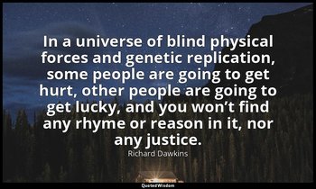 In a universe of blind physical forces and genetic replication, some people are  — Richard Dawkins