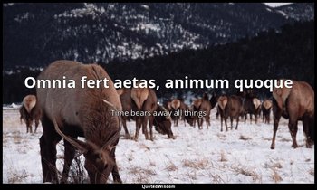 Omnia fert aetas, animum quoque . — Time bears away all things