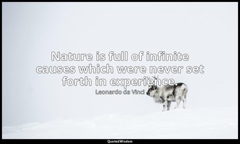 Nature is full of infinite causes which were never set forth in experience. — Leonardo da Vinci