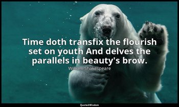Time doth transfix the flourish set on youth And delves the parallels in beauty' — William Shakespeare
