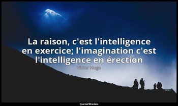 La raison, c'est l'intelligence en exercice; l'imagination c'est l'intelligence  — Victor Hugo