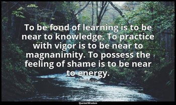 To be fond of learning is to be near to knowledge. To practice with vigor is to  — Confucius