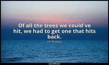 Of all the trees we could've hit, we had to get one that hits back. — J.K. Rowling