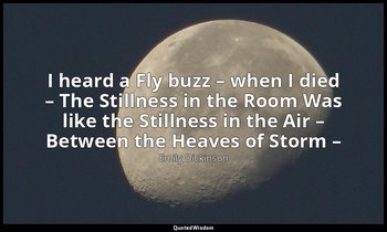 I heard a Fly buzz – when I died – The Stillness in the Room Was like the Stilln — Emily Dickinson