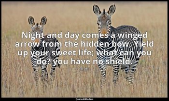 Night and day comes a winged arrow from the hidden bow, Yield up your sweet life — Rumi