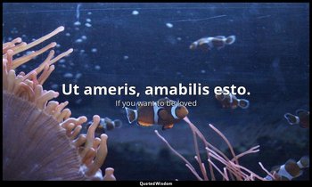 Ut ameris, amabilis esto. — If you want to be loved