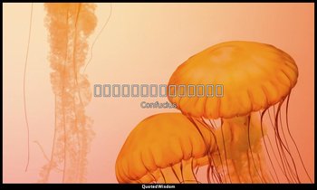 學而不思則罔，思而不學則殆。 — Confucius