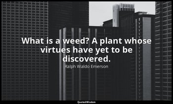 What is a weed? A plant whose virtues have yet to be discovered. — Ralph Waldo Emerson