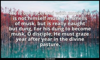 He is only scented with musk, he is not himself musk, He smells of musk, but is  — Rumi