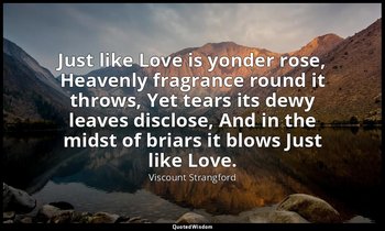 Just like Love is yonder rose, Heavenly fragrance round it throws, Yet tears its — Viscount Strangford