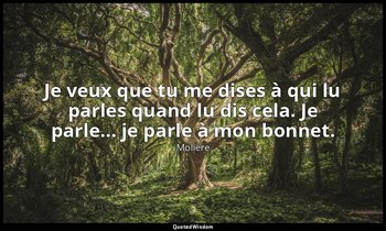 Je veux que tu me dises à qui lu parles quand lu dis cela. Je parle... je parle  — Molière