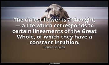 The tiniest flower is a thought, — a life which corresponds to certain lineament — Honoré de Balzac