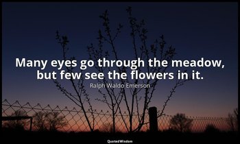 Many eyes go through the meadow, but few see the flowers in it. — Ralph Waldo Emerson