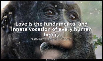 Love is the fundamental and innate vocation of every human being. — "Catechism of the Catholic Church"