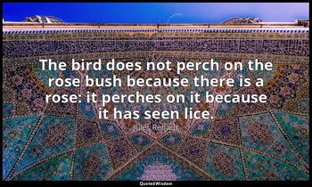 The bird does not perch on the rose bush because there is a rose: it perches on  — Jules Renard