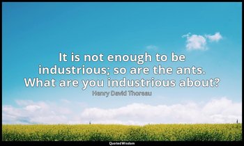 It is not enough to be industrious; so are the ants. What are you industrious ab — Henry David Thoreau