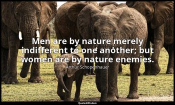 Men are by nature merely indifferent to one another; but women are by nature ene — Arthur Schopenhauer