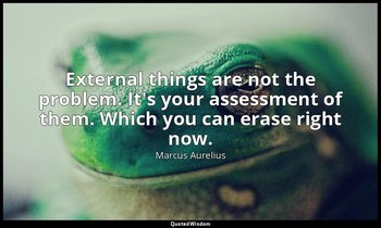 External things are not the problem. It's your assessment of them. Which you can — Marcus Aurelius