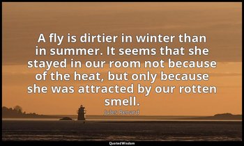 A fly is dirtier in winter than in summer. It seems that she stayed in our room  — Jules Renard