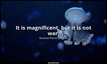 It is magnificent, but it is not war. — General Pierre Bosquet