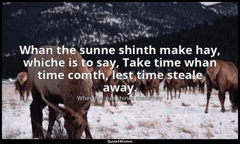 Whan the sunne shinth make hay, whiche is to say, Take time whan time comth, les — When the sun shines make hay