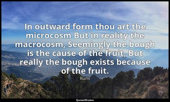 In outward form thou art the microcosm But in reality the macrocosm, Seemingly t — Rumi