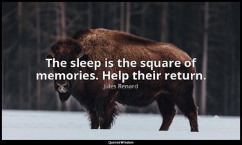 The sleep is the square of memories. Help their return. — Jules Renard