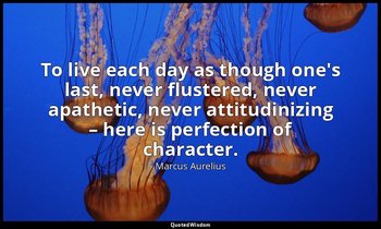 To live each day as though one's last, never flustered, never apathetic, never a — Marcus Aurelius