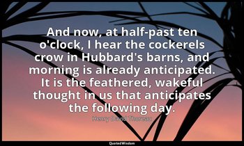 And now, at half-past ten o'clock, I hear the cockerels crow in Hubbard's barns, — Henry David Thoreau