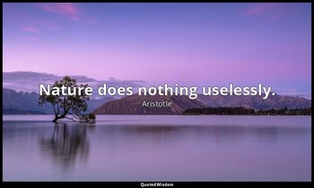 Nature does nothing uselessly. — Aristotle