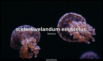 scelere velandum est scelus. — Seneca