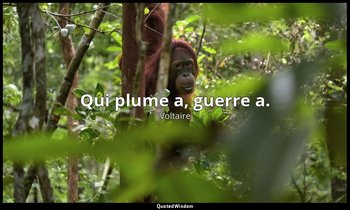 Qui plume a, guerre a. — Voltaire