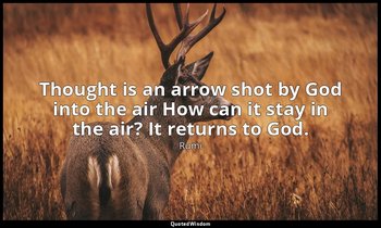 Thought is an arrow shot by God into the air How can it stay in the air? It retu — Rumi