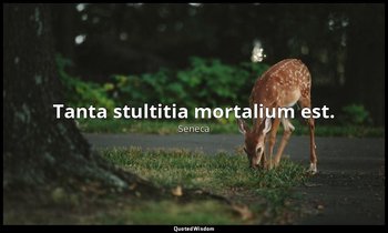 Tanta stultitia mortalium est. — Seneca