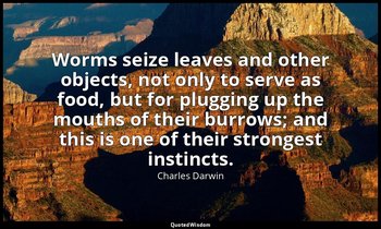 Worms seize leaves and other objects, not only to serve as food, but for pluggin — Charles Darwin